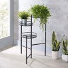 Namid Metal/ Glass Plant Stand