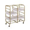 Vorrik Serving Cart (Gold/ White)