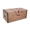 Vacation Storage Trunk (Burnished Natural)