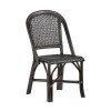 Louie Side Chair (Set of 2)