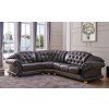 Apolo Left Side Sectional (Brown)