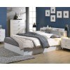 Perse Queen Bookcase Storage Bed