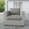 Blakley Outdoor Lounge Chair