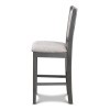 Amy Gray Counter Height Chair (Set of 2)