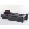 Elegant Sleeper Sectional Set (Santa Glory Black)