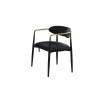 Gaetani Black Arm Chair (Set of 2)