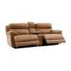 Gatlin Leather Dual-Power Reclining Living Room Set