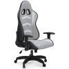 Lynxtyn Office Swivel Desk Chair w/ LED Lighting (White and Gray)