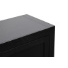 Harbor Black 2-Door Cabinet