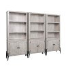 Zane Bookcase Wall