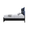 Lando Black Platform Bed w/ LED