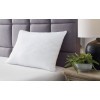 Zephyr 2.0 Huggable Comfort Pillow (Set of 4)