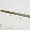 Palm Gate Chest
