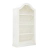 Open Shelf Storage Bookcase with Puck Light