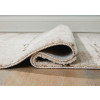 Kasney 5' x 7' Rug
