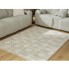 Maconville Medium Rug