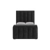 Serenity Onyx Upholstered Bed w/ Speaker, TV Lift and Fireplace