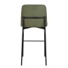 Erik Green Barstool (Set of 2)