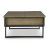 Montia Lift-Top Coffee Table