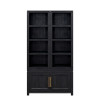 The Cove Seal Skin Black 2-Door Cabinet Bookcase Pier