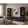 The Cove Seal Skin Black Fireplace Entertainment Wall