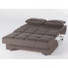 Twist Love Seat Sleeper (Asotral L Brown)