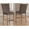 Artemis Brown Velvet Counter Height Chair (Set of 2)